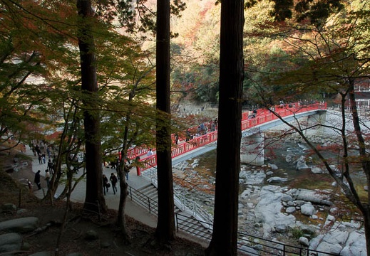 200911210838-DSC01890.jpg