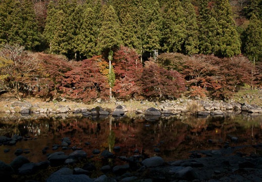 200911210906-DSC01948.jpg