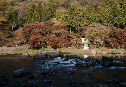 200911210907-DSC01950.jpg