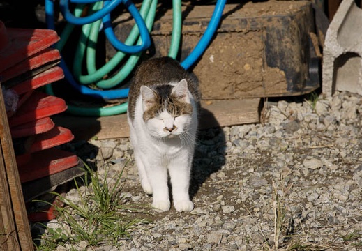 200911231004-DSC02393.jpg