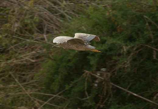 200911271519-DSC02827.jpg