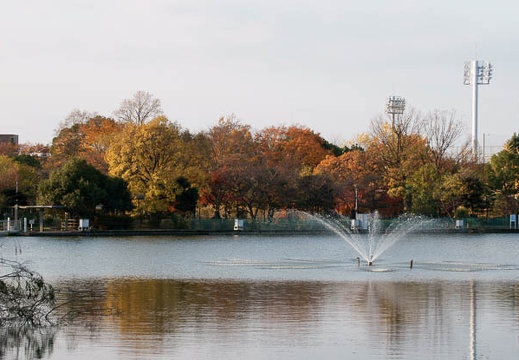 200911290742-DSC02888.jpg