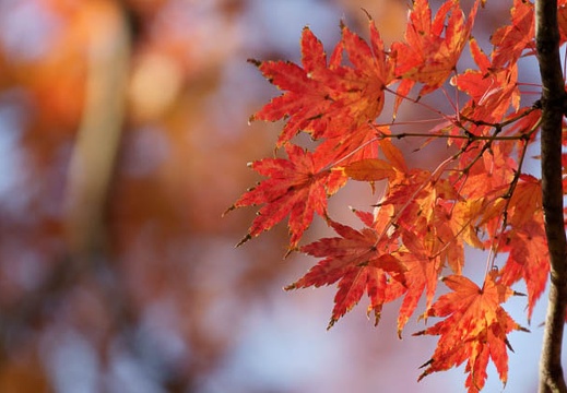200911290758-DSC02907.jpg