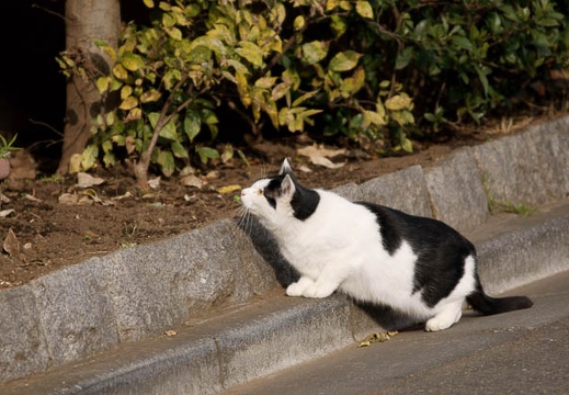 200911290920-DSC02967.jpg
