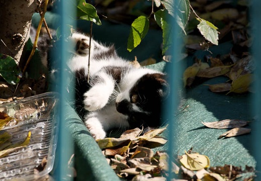 200912041038-DSC03329.jpg