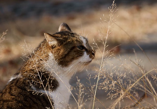200912041310-DSC03525.jpg