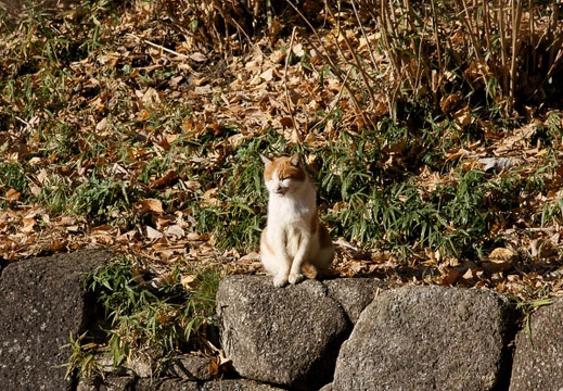 200912181344-DSC03905.jpg