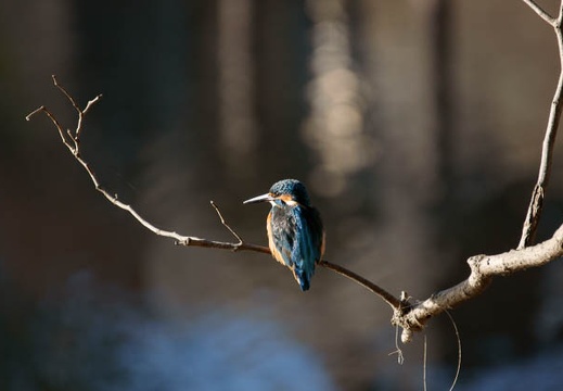 200912181450-DSC04058.jpg