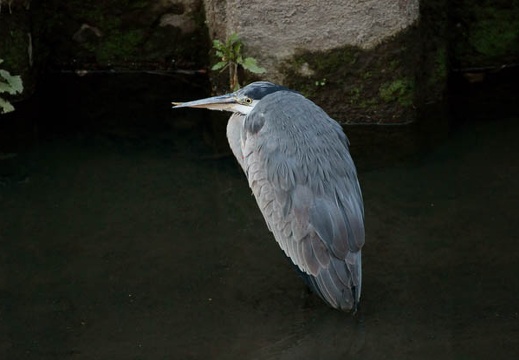 200912190715-DSC04095.jpg