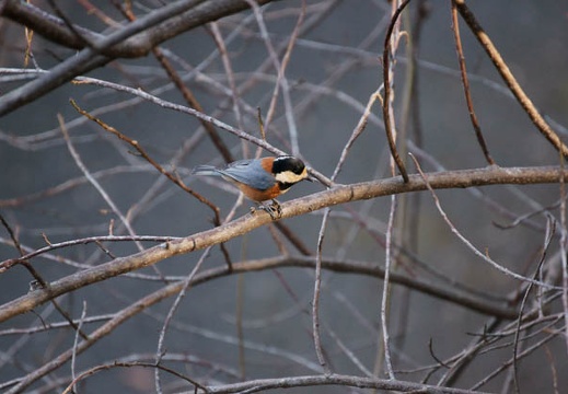 200912190922-DSC04163.jpg
