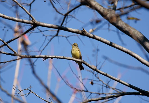 200912191028-DSC04245.jpg
