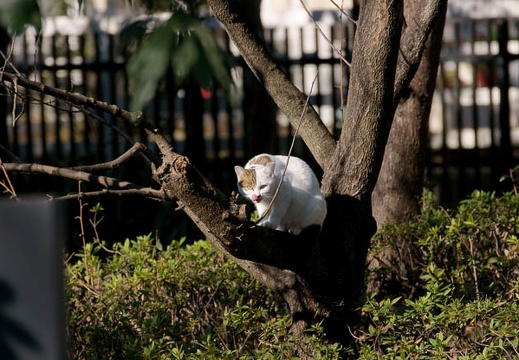 200912191030-DSC04265.jpg