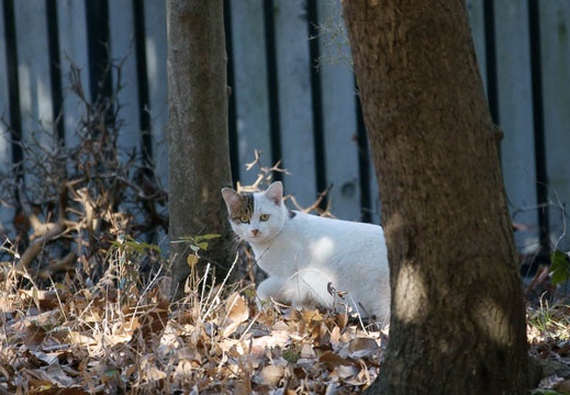 200912191033-DSC04266.jpg
