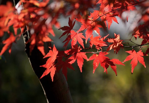 200912191106-DSC04286.jpg