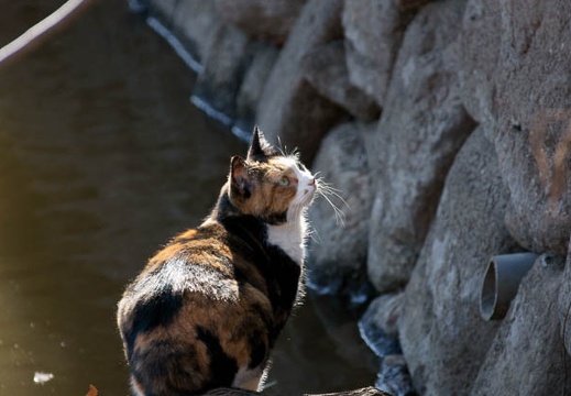 200912201242-DSC04458.jpg