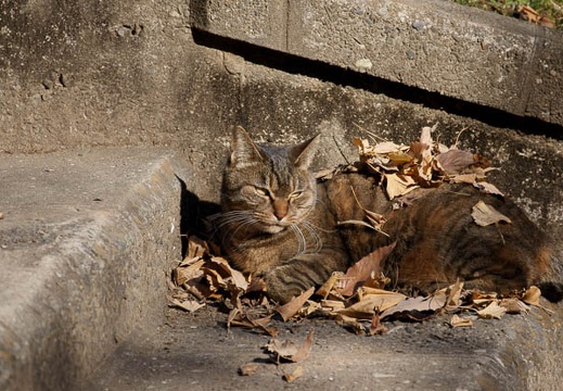 200912201245-DSC04468.jpg