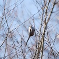 200912201313-DSC04487.jpg