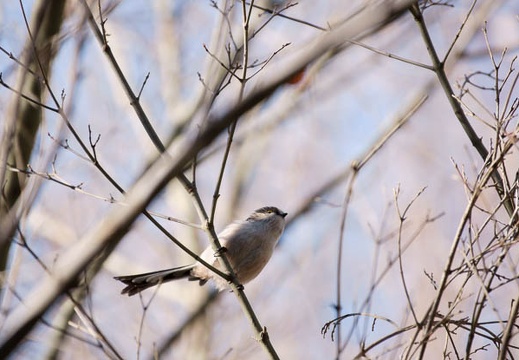 200912201315-DSC04496.jpg