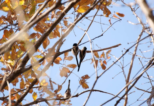 200912201317-DSC04501.jpg