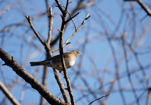 200912230954-DSC04592.jpg
