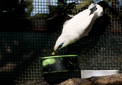 200912241243-DSC04814.jpg