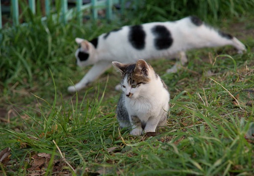 200912301620-DSC04778.jpg