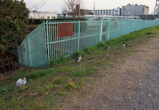 200912301620-DSC04781.jpg