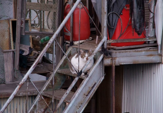 200912301647-DSC04803.jpg