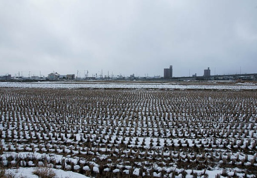201001011437-DSC05341.jpg