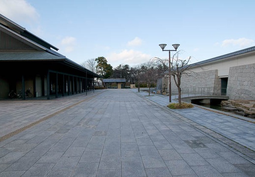 201001051413-DSC05403.jpg