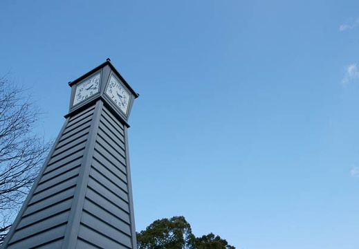 201001051418-DSC05415.jpg