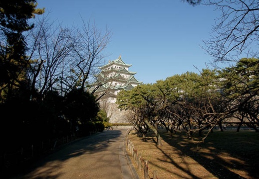 201001051424-DSC05425.jpg