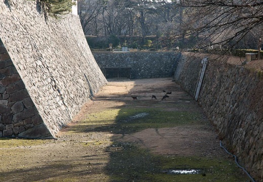 201001051431-DSC05441.jpg