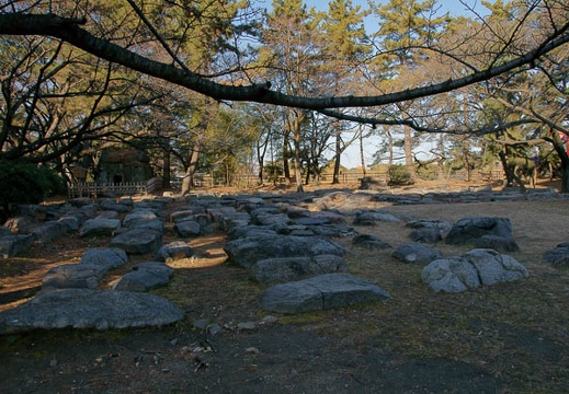 201001051432-DSC05445.jpg