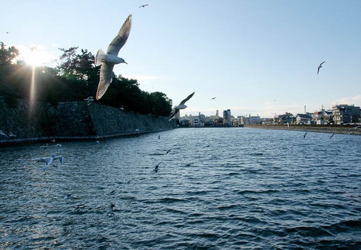 201001051536-DSC05540.jpg