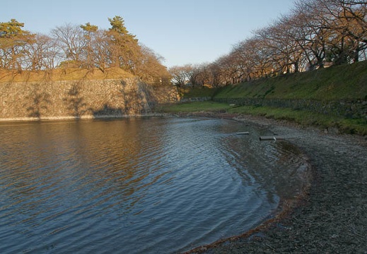201001051601-DSC05599.jpg