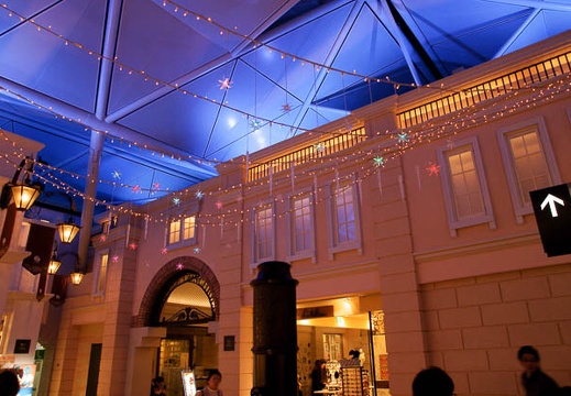 201001051719-DSC05620.jpg