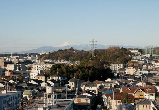 201001160808-DSC06462.jpg