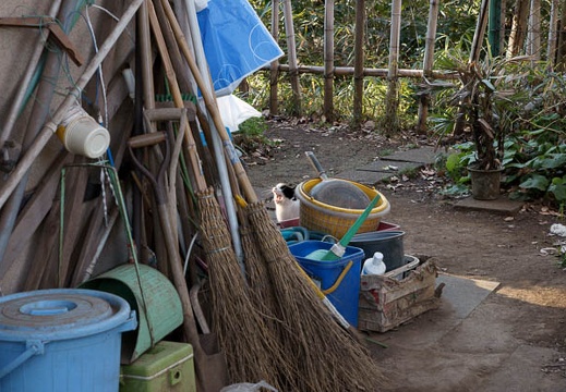 201001160819-DSC06481.jpg