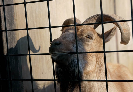201001160822-DSC06490.jpg