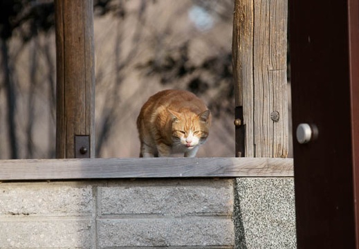 201001230810-DSC06550.jpg