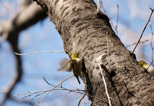 201001231159-DSC06804.jpg