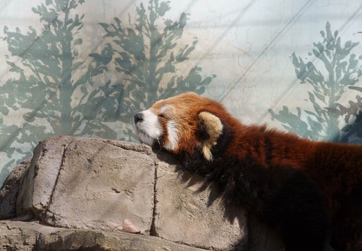 201001231212-DSC06836.jpg
