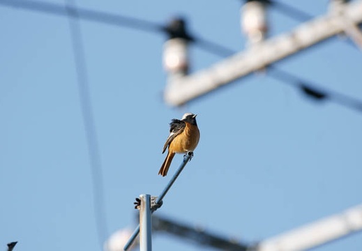 201001241422-DSC06922.jpg
