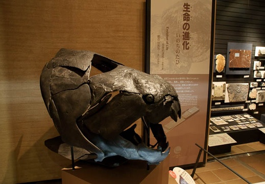 201001291524-DSC07097.jpg