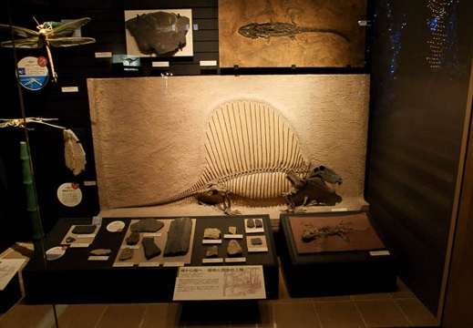 201001291524-DSC07102.jpg