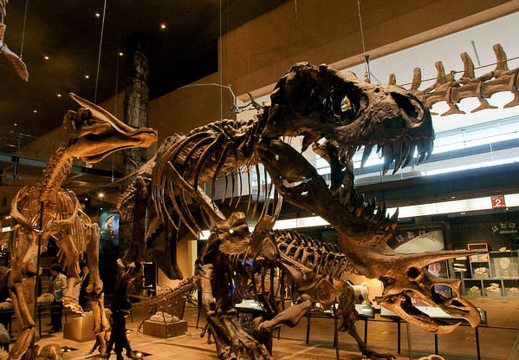 201001291526-DSC07105.jpg