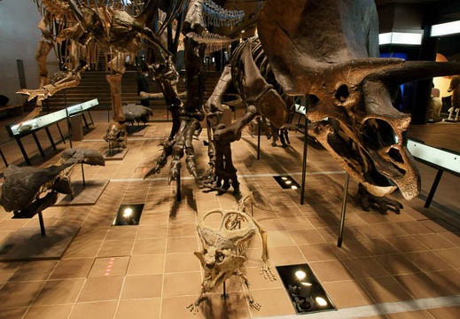 201001291526-DSC07106.jpg
