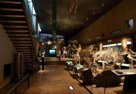 201001291527-DSC07109.jpg