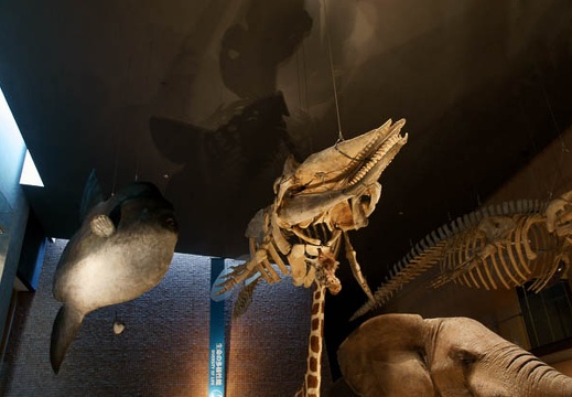 201001291528-DSC07110.jpg